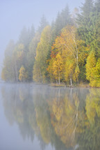 Autumn landscape in the mountains with trees reflecting in the water at St. Ana's lake, Romania