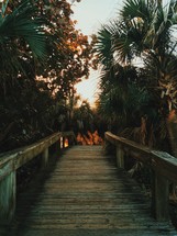 wood boardwalk through palm trees leading to a beach 