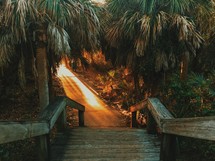 wood boardwalk through palm trees leading to a beach 