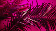 Magenta palm leaves on a magenta background. 
