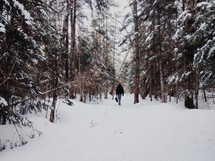 A man walks through a snow covered forest.