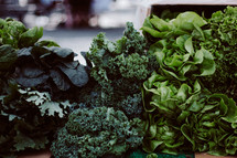 kale, lettuce, vegetables, greens, food, produce 