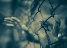 kids hands reaching through a chain link fence 