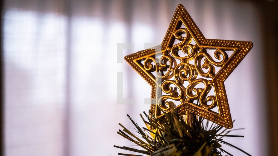 star on top of a Christmas tree 
