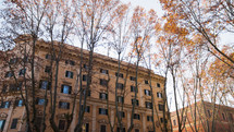 Trees surrounding the cityscape in Rome, Italy 