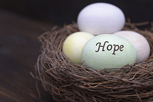 Easter eggs in bird nest with the word hope