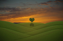 green field with heart shape tree 
