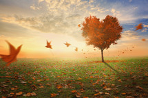 a heart shaped tree and falling autumn leaves 