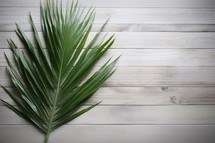 Palm leaf on wooden background. Top view with copy space
