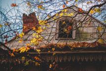 The old vintage house roof and autumn leaves