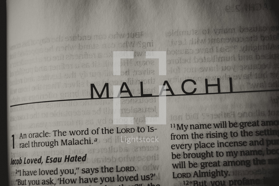 Open Bible in book of Malachi