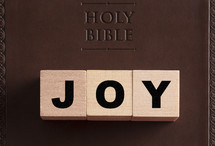 Holy Bible and word joy 