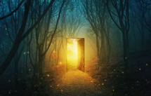 light through an open door in a dark forest 