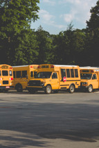 school bus vans 