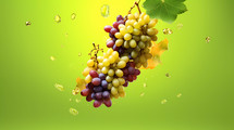 Explosion of bunches grapes on solid color background and copy space.