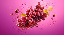 Bunches grapes on solid purple color background.
