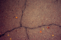 fall leaves on concrete