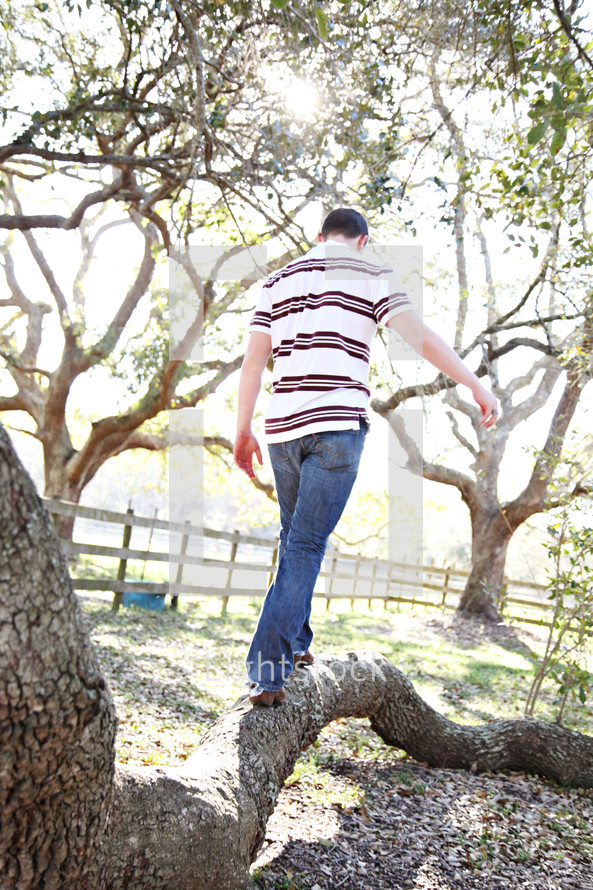 man balancing on a tree root 