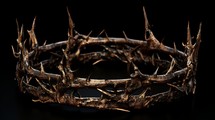 A realistic depiction of a crown of thorns made from tree branches