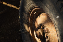 Spiderwebs on vintage tire