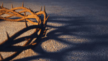 crown of thorns and shadow