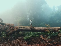 A boy walking along a fallen tree trunk.