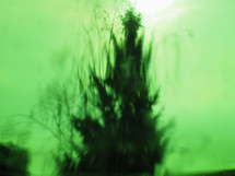 impressionist blurred view of trees during a windstorm useful as a background