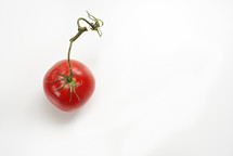 red tomato on white background 