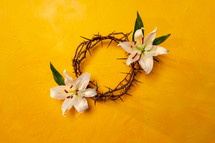 crown of thorns and lilies on a yellow background 