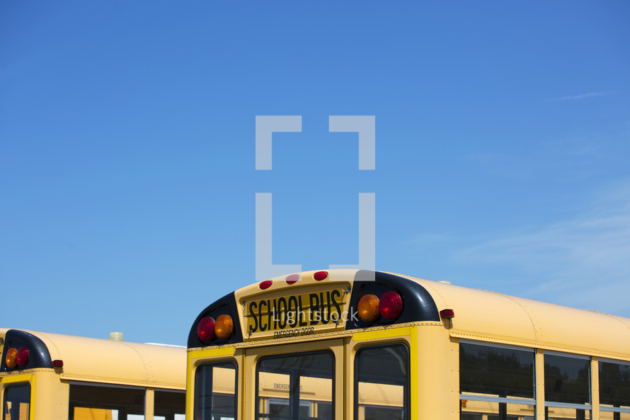 school buses  