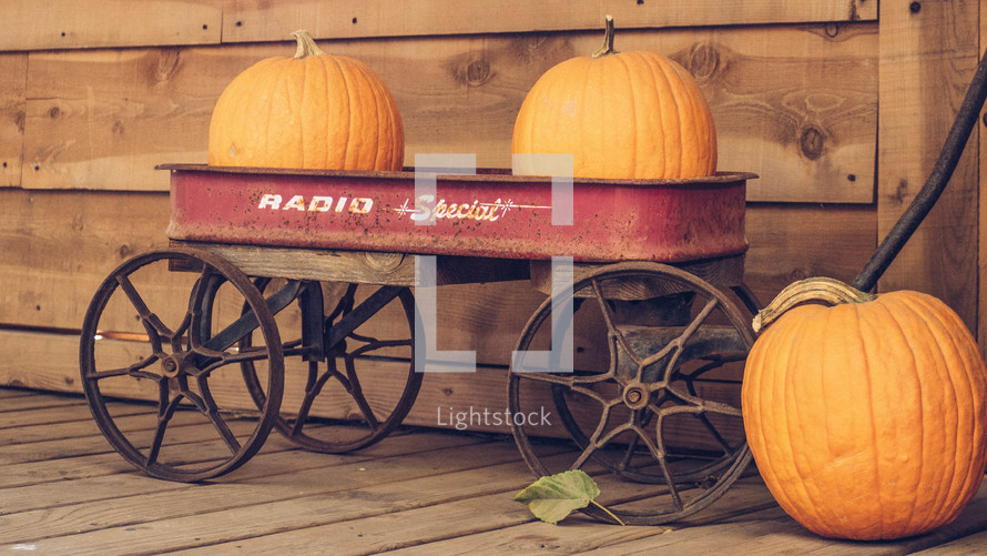 orange pumpkins in a red wagon 