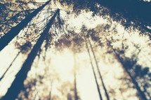 Looking up to the top of mountain peaks | Blur | Camp | Retreat | Background | Abstract  