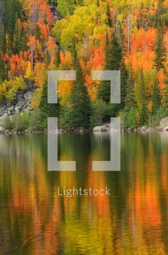 reflection of a fall forest on lake water 