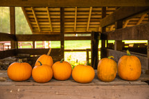 orange pumpkins in a barn 