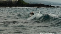 A man surfing an ocean wave