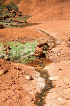 wet ground in Australian desert 