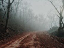 dirt road and morning fog 