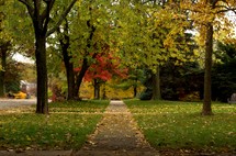 fall sidewalk 