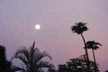 full moon in a purple sky at dusk 
