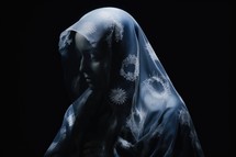 Silhouette of Mother Mary in a veil on a black background