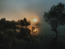 fog and mist over a pond at sunrise 
