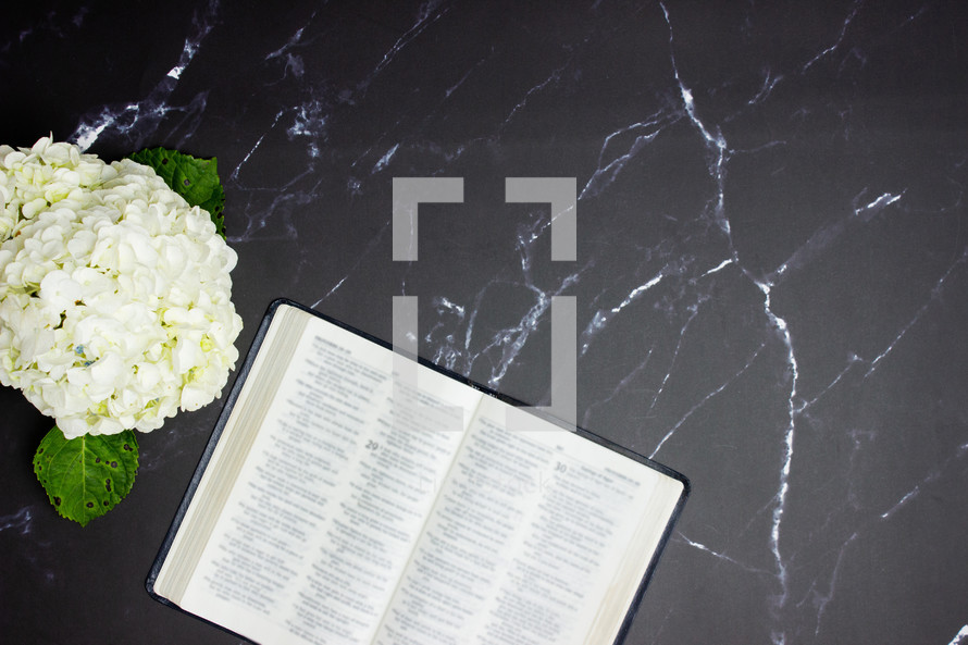 open Bible on a black marble desk with white flowers 