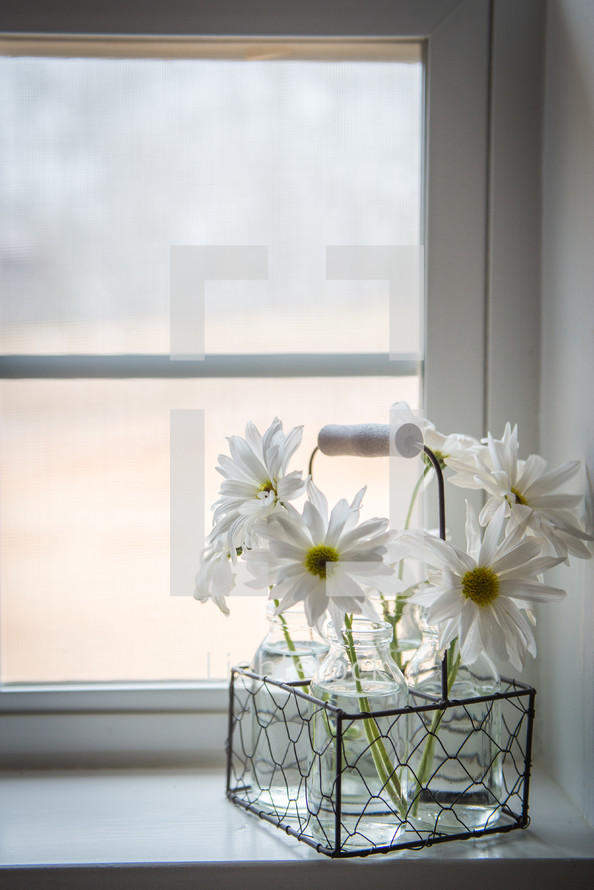 vases of flowers in a window sill 