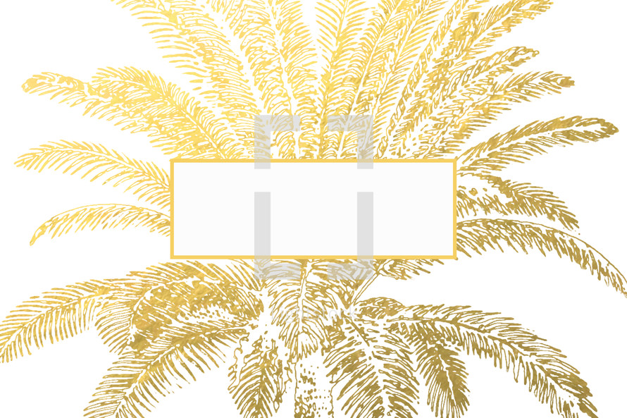 gold palm tree and blank space 