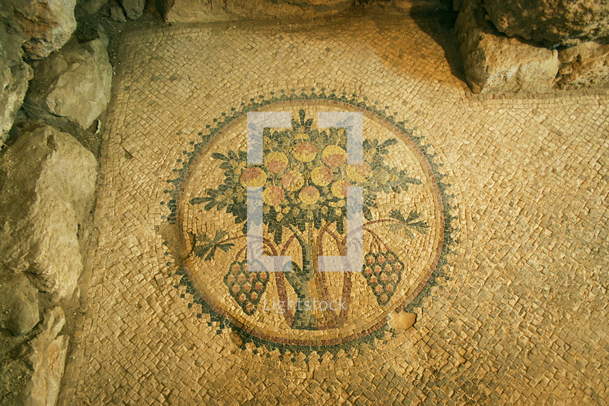 Tree of Life mosaic in Madaba, Jordan
