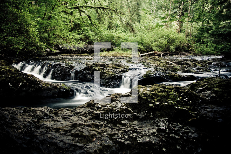 a flowing creek at SIlver Falls