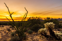 Brilliant sunset in the desert
