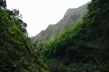 green rugged cliffs on a mountainous island landscape 