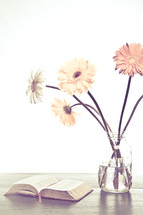 gerber daisies in a vase and an open Bible