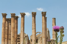 pink flowers and ancient columns 